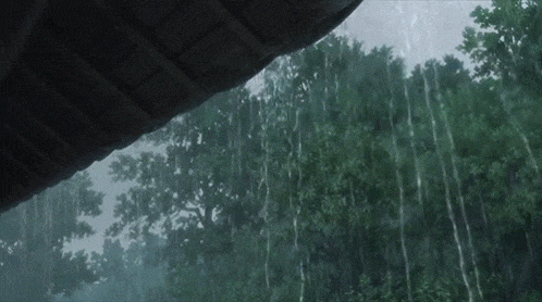 lluvia-campo