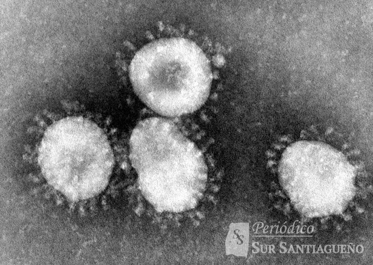 corona virus