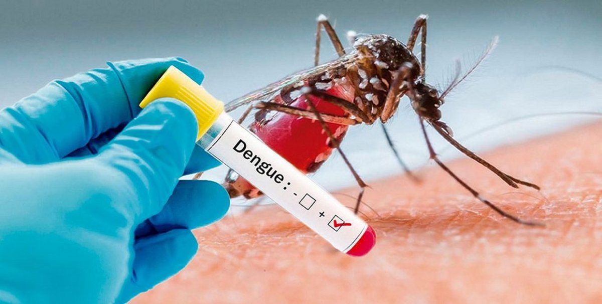 dengue positivo