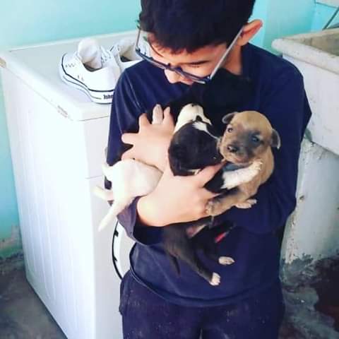 FB-IMG-1590718081504