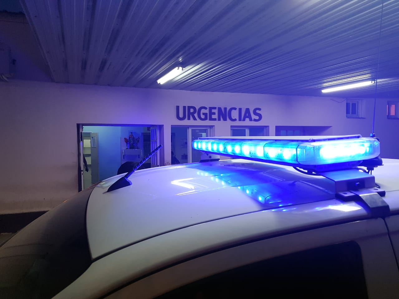 movil 1