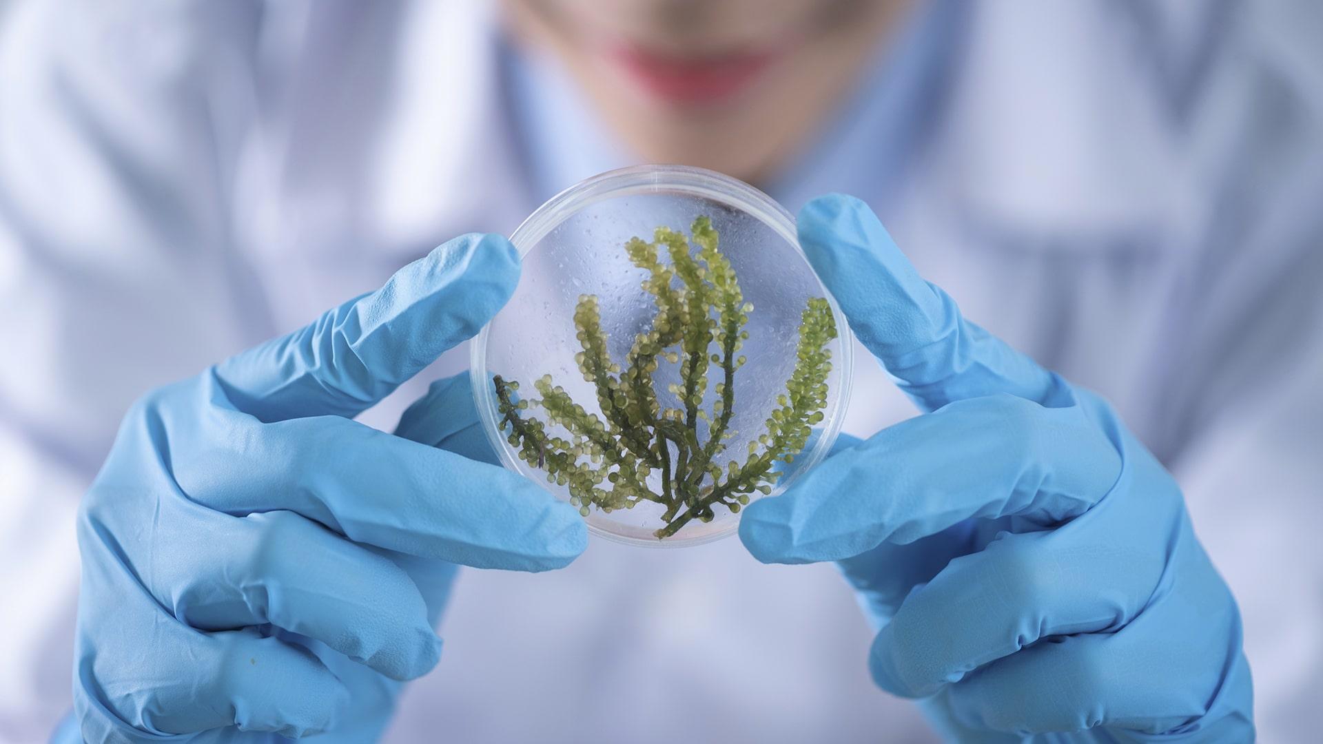 Video Detalles de como funciona el Polo científico en Termas de Río