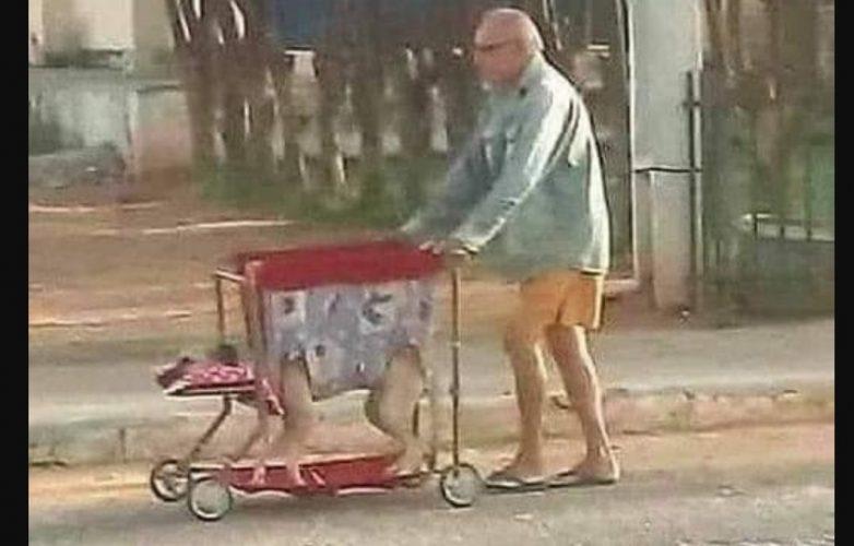abuelo pasea perro