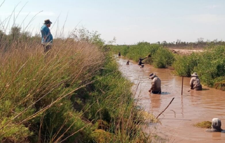 debido-al-deficit-hidrico-limpian-canales-para-asegurar-abastecimiento-del-agua-a-poblados-782x500