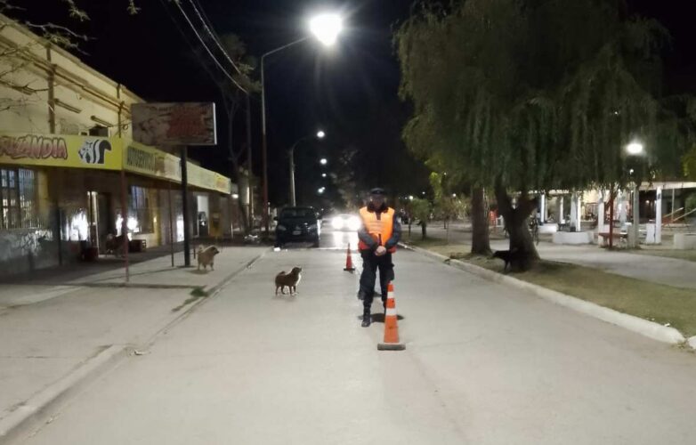 operativo anatuya