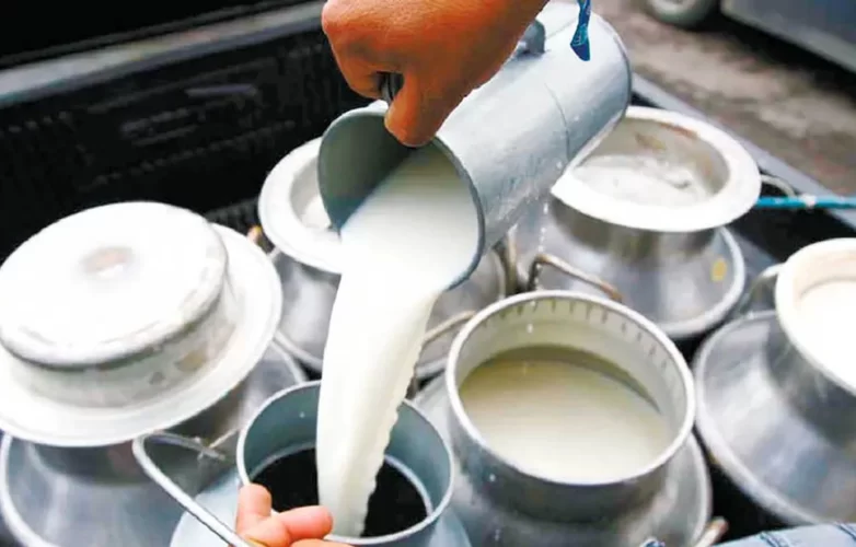 fases-del-circuito-productivo-de-la-leche-actualizado