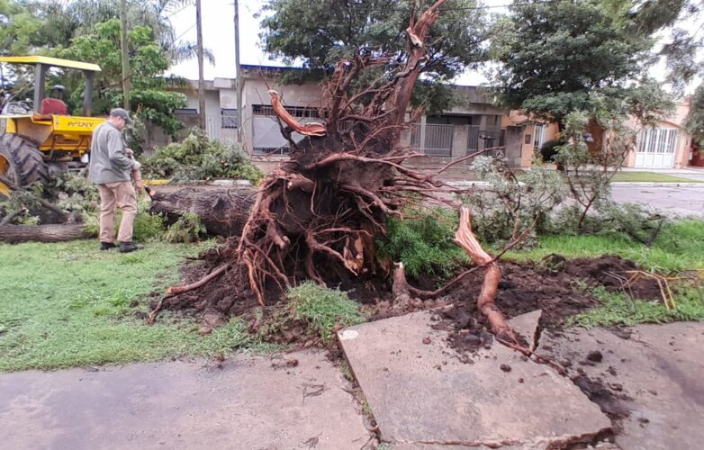 a101faa7-424d-465a-b983-e3cc12167f0b