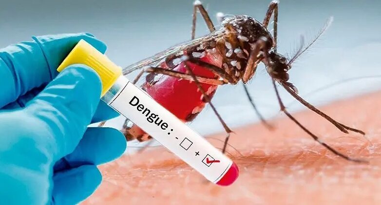 dengue resultados