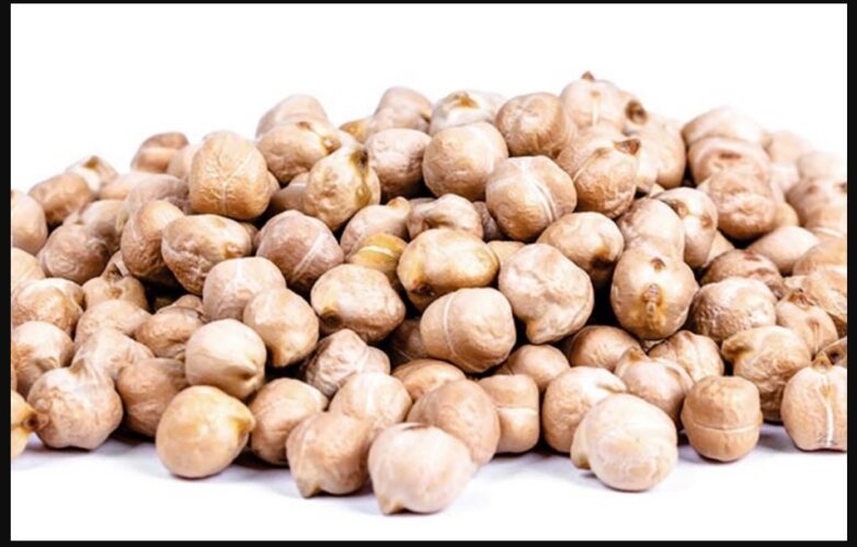 garbanzo d