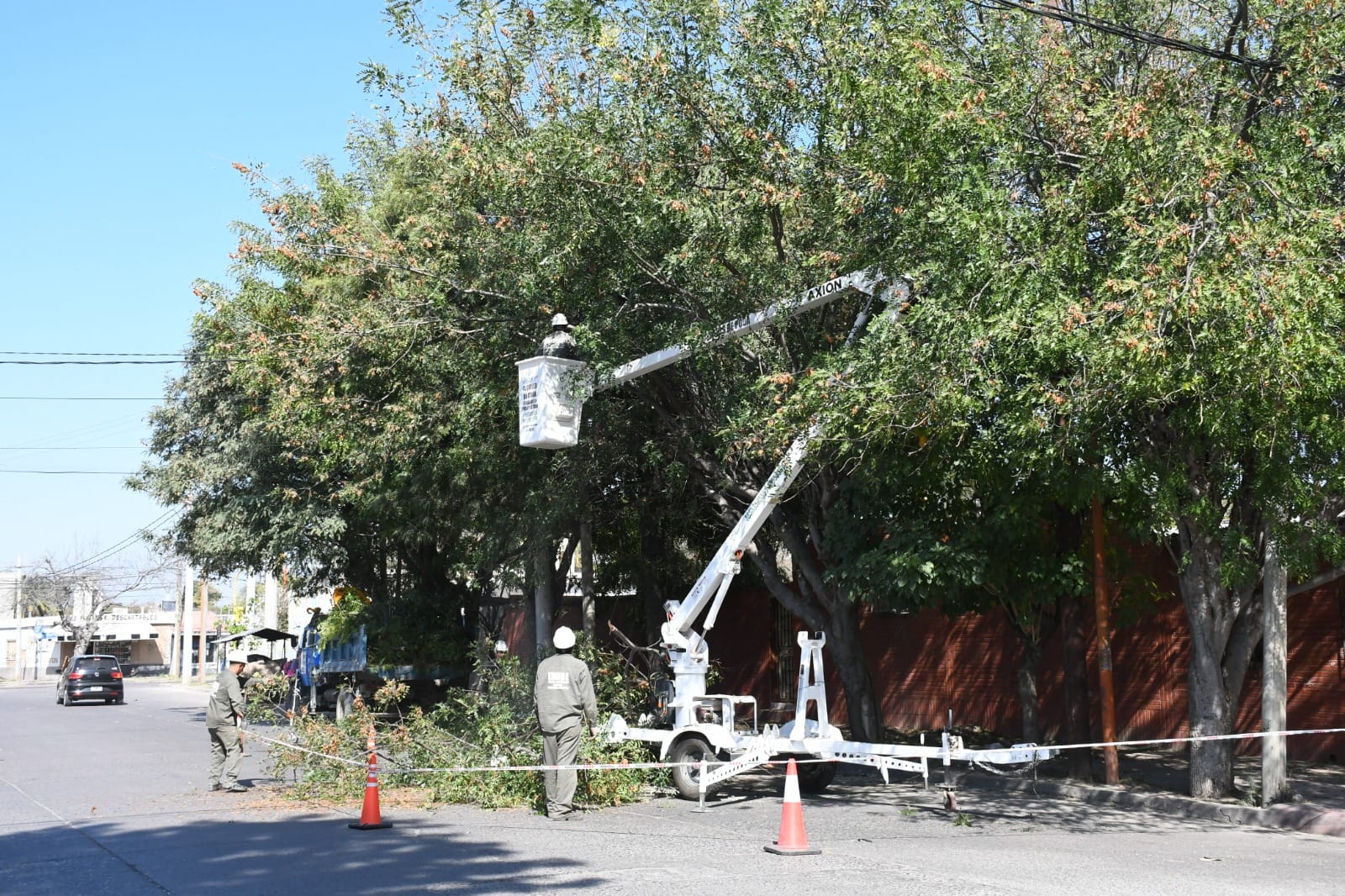 Realizan operativo de poda integral de árboles en una amplia zona de la ...
