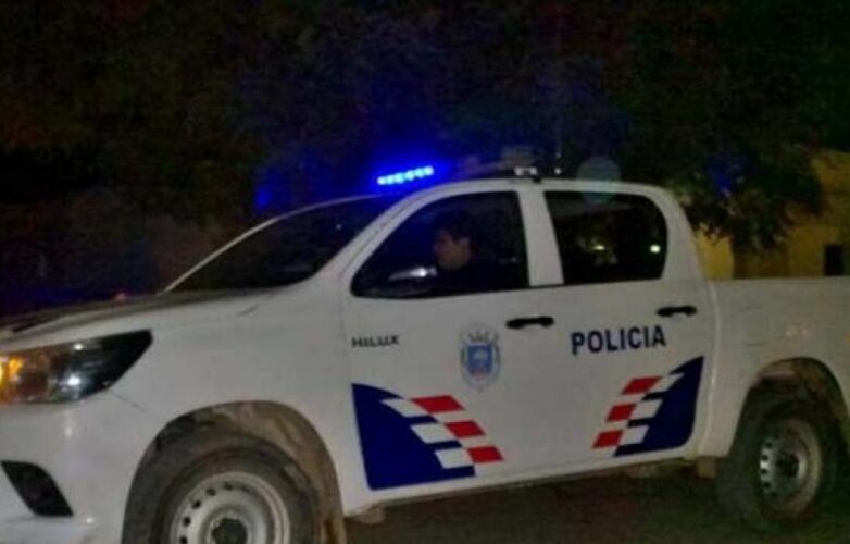 movil policial 333