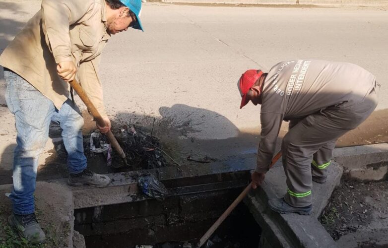 bacheo