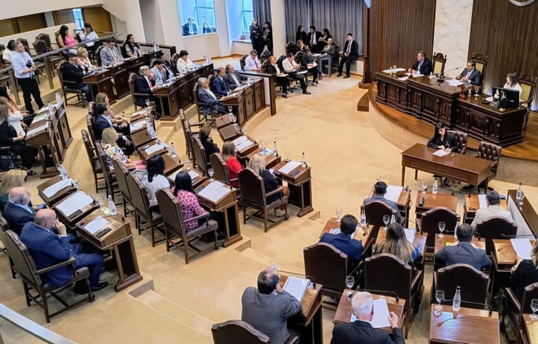 camara de diputados