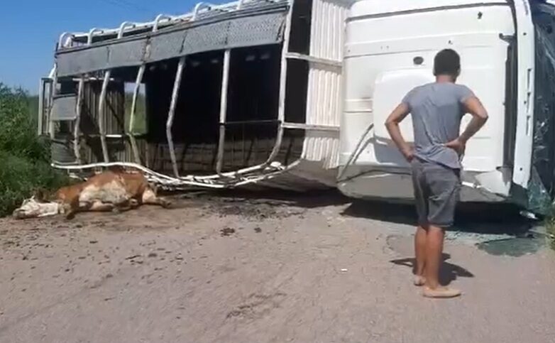 camionvolca