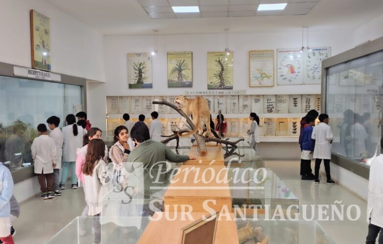 WhatsApp Image 2025-05-24 at 11.23.23 (2)