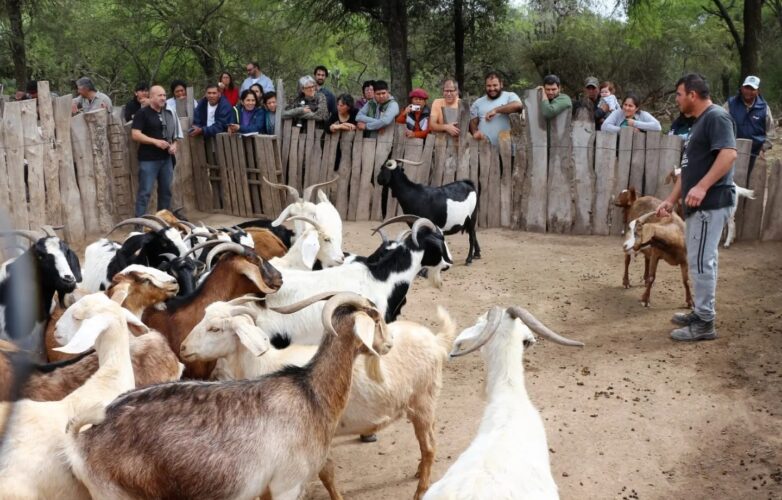 Jornadas Ganadería Caprina INCUPO