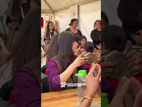 santiago-productivo-2025