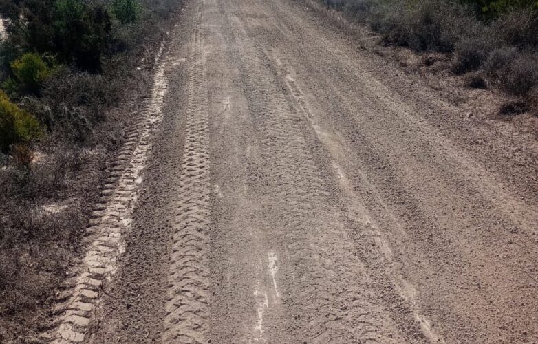 camino