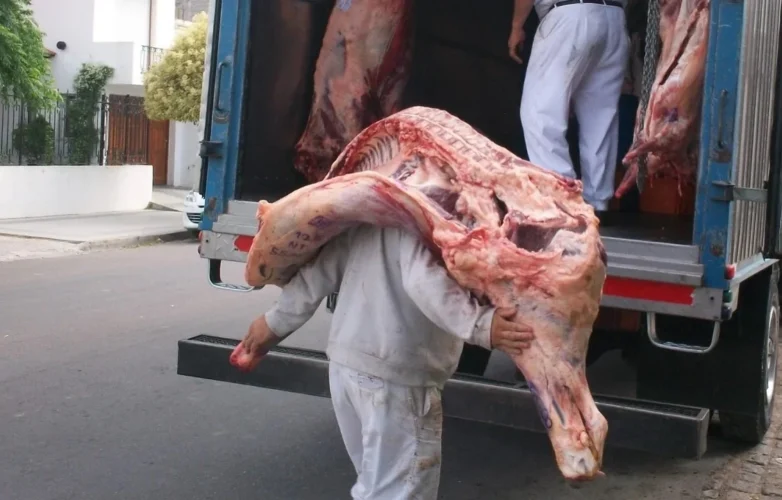 cerdo