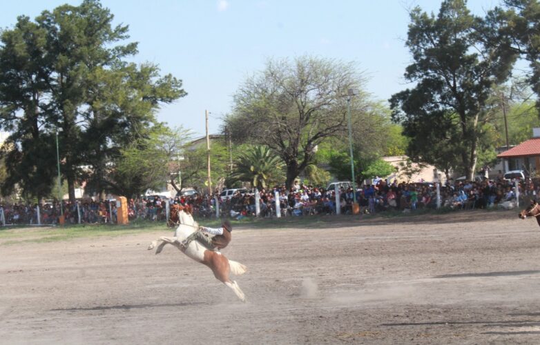 pintos