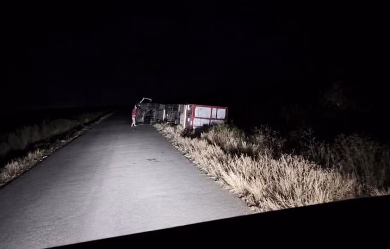 Volcó un camión con vacas en la Ruta 21: el insólito motivo que desencadenó el siniestro